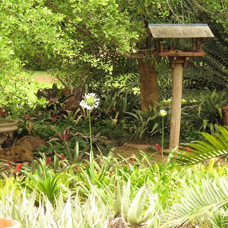 Kiaat Bungalows เฮซีวิว ภายนอก รูปภาพ