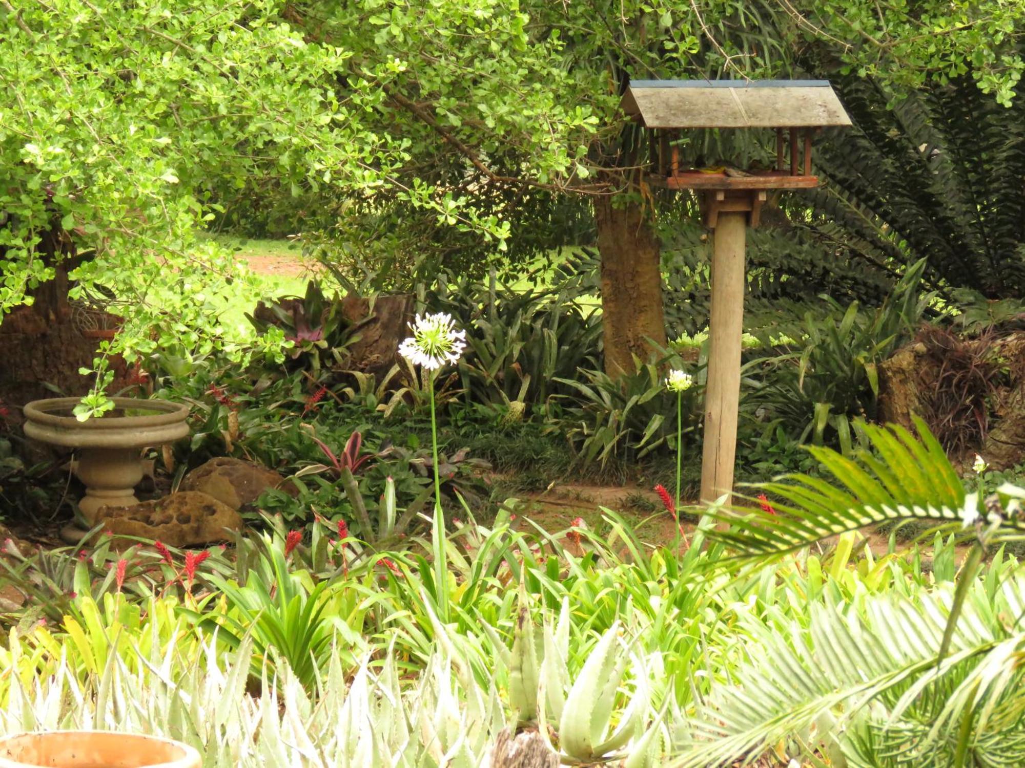 Kiaat Bungalows เฮซีวิว ภายนอก รูปภาพ